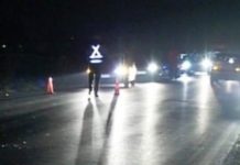 Furgoni përplaset me pemën