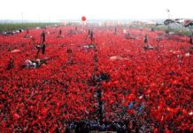 Turqi: 5 milionë pjesmarrës në Mitingun e Demokracisë dhe Dëshmorëve