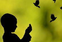 Lutja më e mirë për në Syfir -(Thuaje edhe ti)