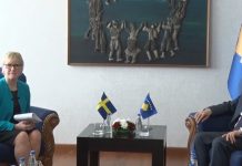 Wallström: Pozita dhe opozita të dialogojnë për demarkacionin