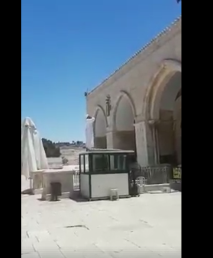 Kështu rinisi ezani në Al Aksa (VIDEO)