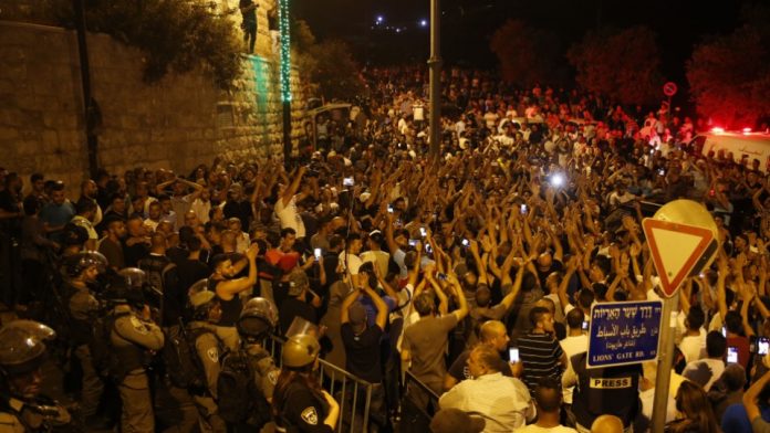 trtworld-nid-409798-fid-449174