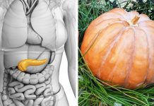 Kungulli, mbrojtës i shëndetit dhe ushqim i shijshëm