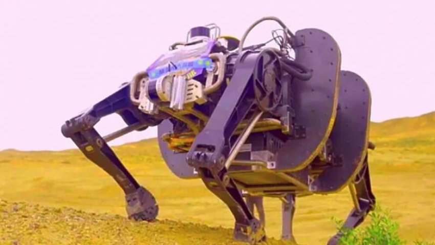 auto_1-221-780x4391643058809