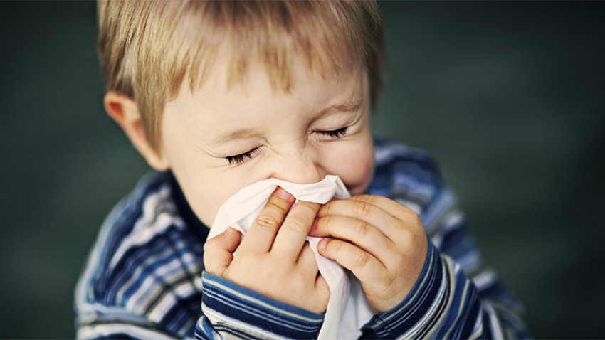 auto_A-Superior-Blog-Kid-Fall-Allergies-11646754165