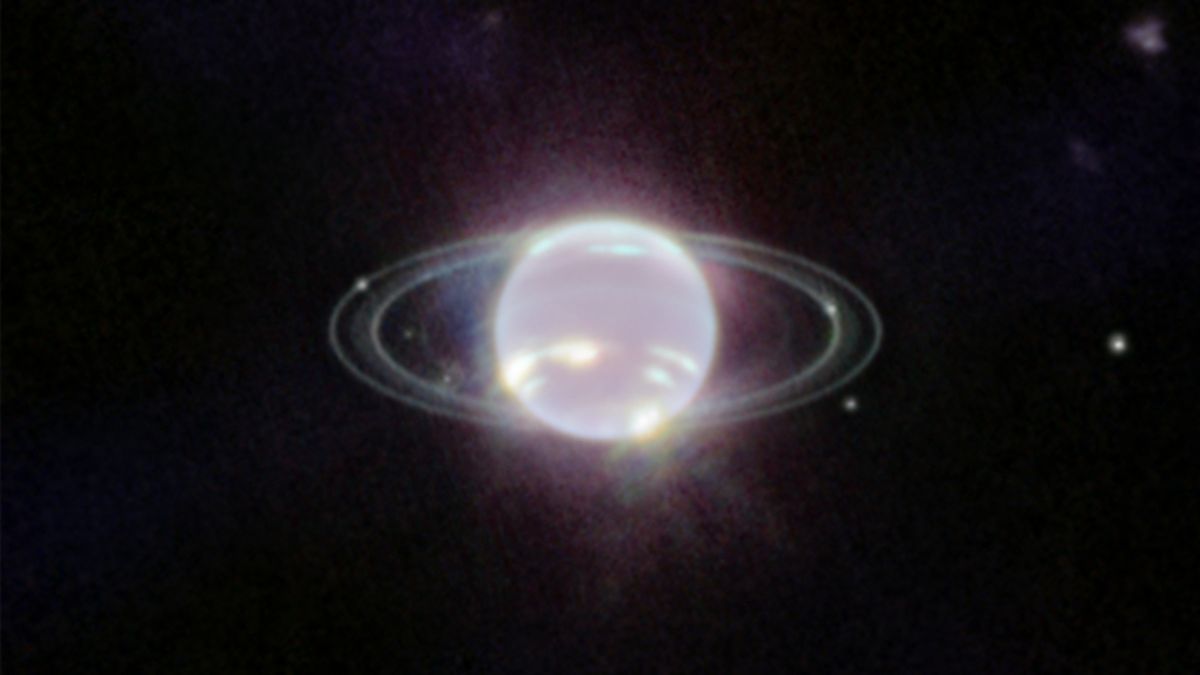 neptuni