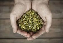 Përfitimet shëndetësore të farave të kungullit