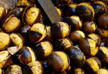 Nëse vuani nga këto sëmundje, duhet të hani gështenja
