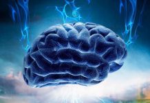 Puna mendore apo fizike? Cila të lodh më shumë, sipas shkencëtarëve