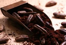 Kafe prej hurmave të Arabisë – VIDEO