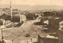Trojet Shqiptare