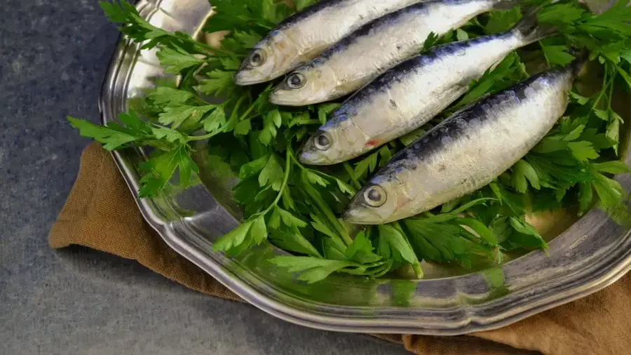fresh-sardines-garnished-with-vegetables-tbue85nwtn3tbi3i