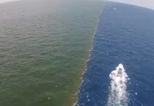 Bashkimi i dy deteve