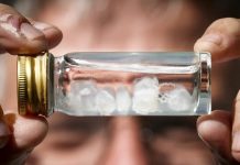 Cili është pickimi më i dhimbshëm në botë?