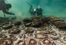 Zbulim spektakolar: Arkeologët gjejnë 1000 objekte romake nga një liqen në Zvicër