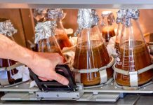 Prodhohet për herë të parë çokollata laboratorike