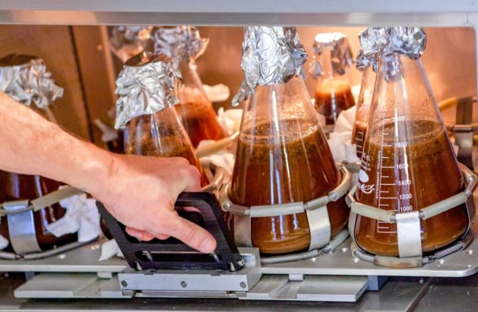 Screenshot-2026-04-16-204340-1024x669