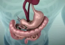 Pse zorrët duhet të lëvizin vazhdimisht? Shenja që tregon nëse tretja funksionon si duhet