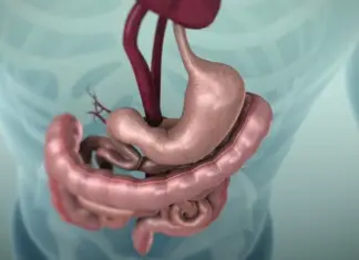 Pse zorrët duhet të lëvizin vazhdimisht? Shenja që tregon nëse tretja funksionon si duhet