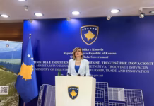 Rreth 200 mijë euro gjoba për njehsorët, Kusari-Lila flet për keqpërdorimet në energji