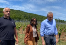 Anu Prattipati viziton veriun e Kosovës, takohet me kryetarët e komunave me shumicë serbe