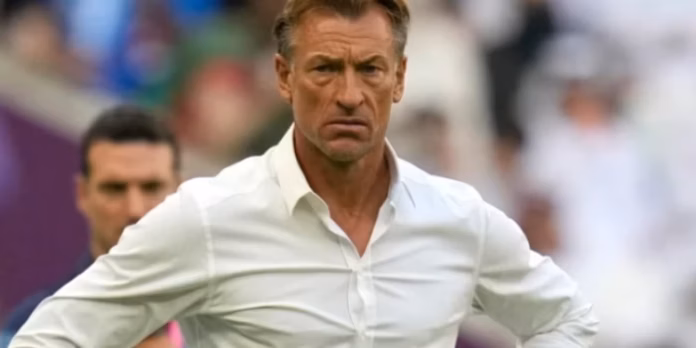 renard-750x375